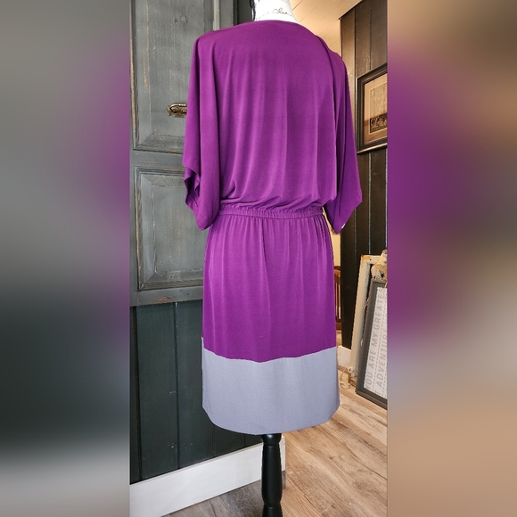 Suzi Chin Colorblock Dress - Picture 2 of 6